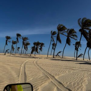 COMBO TODAS AS ROTAS (Buggy)